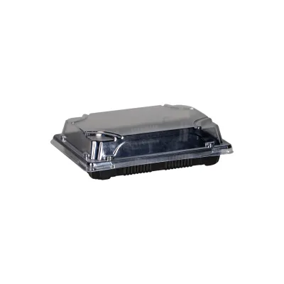 PS Sushi Trays N.10 and Transparent Lid (SET) 18.5x13.x 2cm. 50 Pcs.