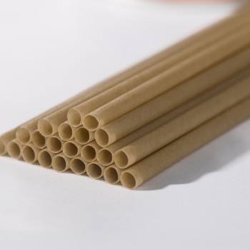 Compostable Straw dim 5mm L200mm (1.000PCS UNWRAPPED)