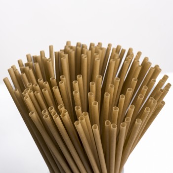 Compostable Straw dim 5mm L200mm (1.000PCS UNWRAPPED)