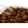 SPECIALITY COFFEE