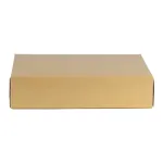 Kraft Takeaway Box T52 30x23.5x7cm, Large Portion — 10kg