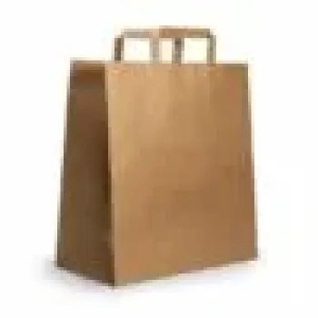 PAPER BAG W/HAND 28*17*H29 250PCS