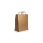 Paper Bags W/Handle Brown 22*10*h29 For Double Paper CupHolder